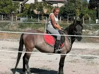 Бие, Polish pony — 4-сурет