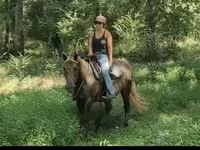Kobila, Kentucky mountain daddle horse — fotografija 7