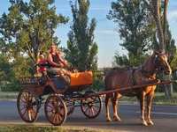 Égua, Cavalos — foto 2