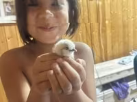 Silkie — zdjęcie 5