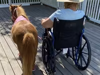 Kobila, Miniature horse — fotografija 5
