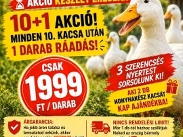 Ducks — Угорщина