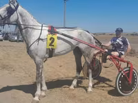 At, Orlov Trotter — foto 4