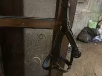 Eladó ponihoz valo cucok — Foto 2