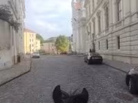 Cavalo, Hucul pony — foto 3