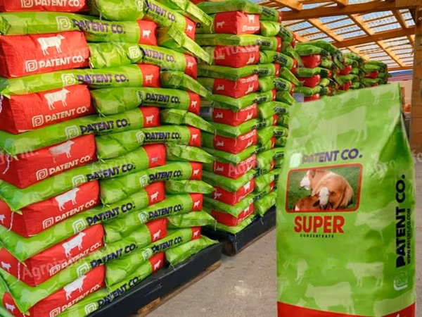 Fattening beef concentrate 50% raw protein - low price, nationwide delivery