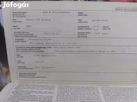Hengst, Percheron — Foto 8