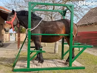 Körmölő kaloda lovaknak — Foto 5