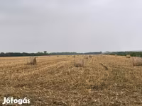 Elcserélnék vagy eladnák kukorica csuta bálát szarvasmarhára — foto 1