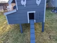 Tyúkól, csibeól — zdjęcie 4