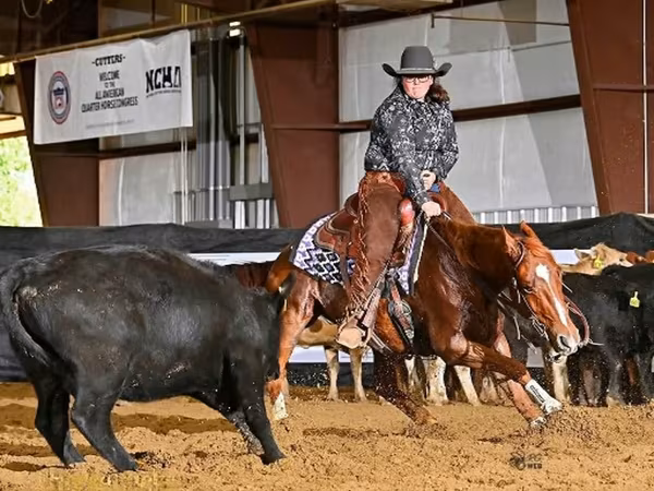 Pastuv, Quarter Horse