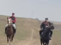 Pastuv, Kazakh horse — fotografija 3