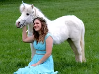 Mare, Miniature horse — photo 1