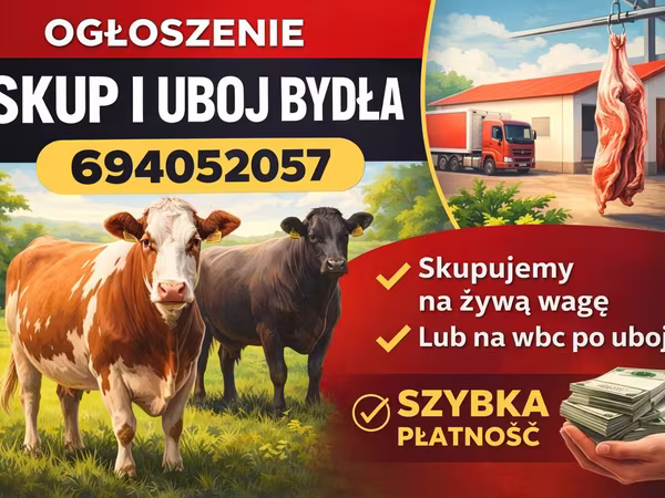 ВРХ (партія, стать не вказано), Велика рогата худоба