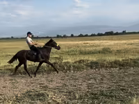 Pastuv, French Trotter — fotografija 3