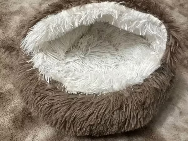 Լեժանկա շների համար