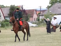 Caballo, Caballos — foto 1