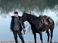 Pastuv, Karachay horse — fotografija 7