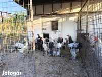 براهما — الصورة 3