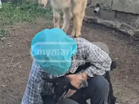 Koza, Megrelian goat — fotografija 1