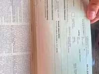 At, Atlar — foto 5
