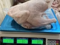 Chickens — Foto 4