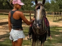 Pastuv, Quarter Horse — fotografija 7