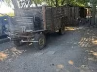 Yegua, Caballos — foto 4
