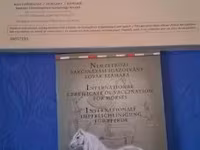 Stute, Pferde — Foto 7