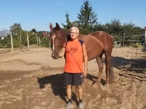 Kobyła, Thoroughbred horse