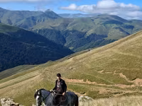 Pastuv, Azerbaijan horse — fotografija 3