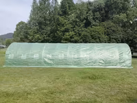 Sera Tip Tunel 10X3X2 M - 5s - livrare / credit / agroteh — zdjęcie 3