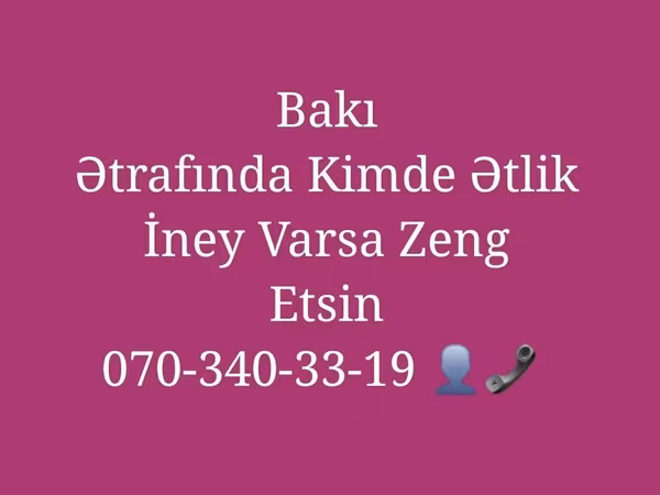 Kuh, Rinder