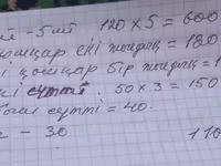 Qoç, Qoyunlar — foto 4