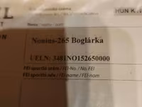 Кобыла, Нониус — фото 5