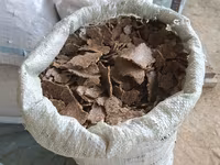 Семичка кунжола с — फ़ोटो 2