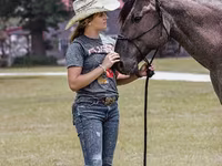 Pastuv, Quarter Horse — fotografija 5
