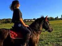 Cavalo, Hucul pony — foto 1