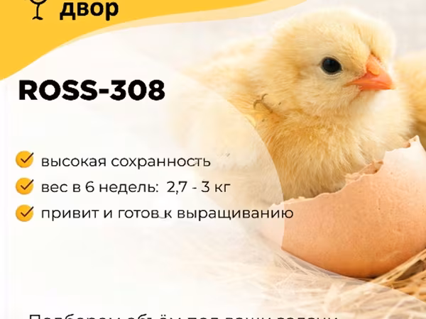 Ros 308