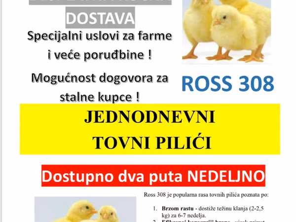 Ros 308 — Србија