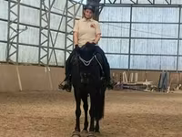 母马, Horses — 照片 1
