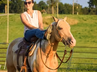 Pastuv, American paint horse — fotografija 5