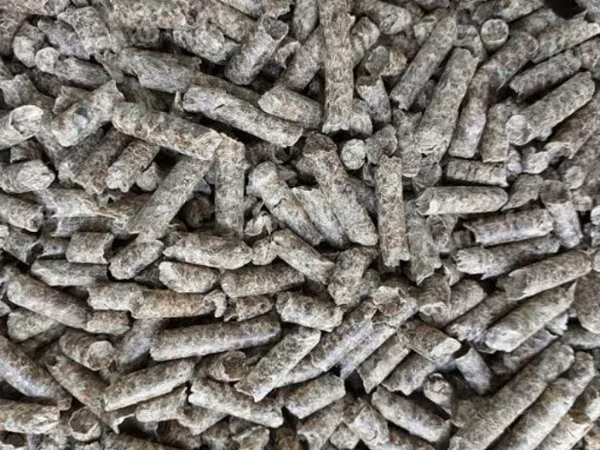 Beet pellets with nationwide delivery, volume discount