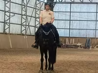 Égua, Cavalos — foto 1