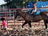 Kobila, American paint horse — fotografija 8