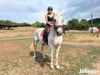 Yegua, Hungarian horse breed — foto 3