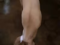 خنزيرة, الخنازير — الصورة 2