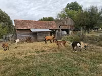 Chèvre, Chèvres — photo 7