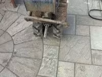Stute, Pferde — Foto 6