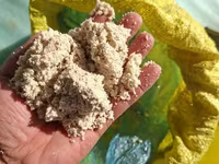 Каша патка моллар — फ़ोटो 2